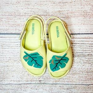 Mini Melissa Bug Slides